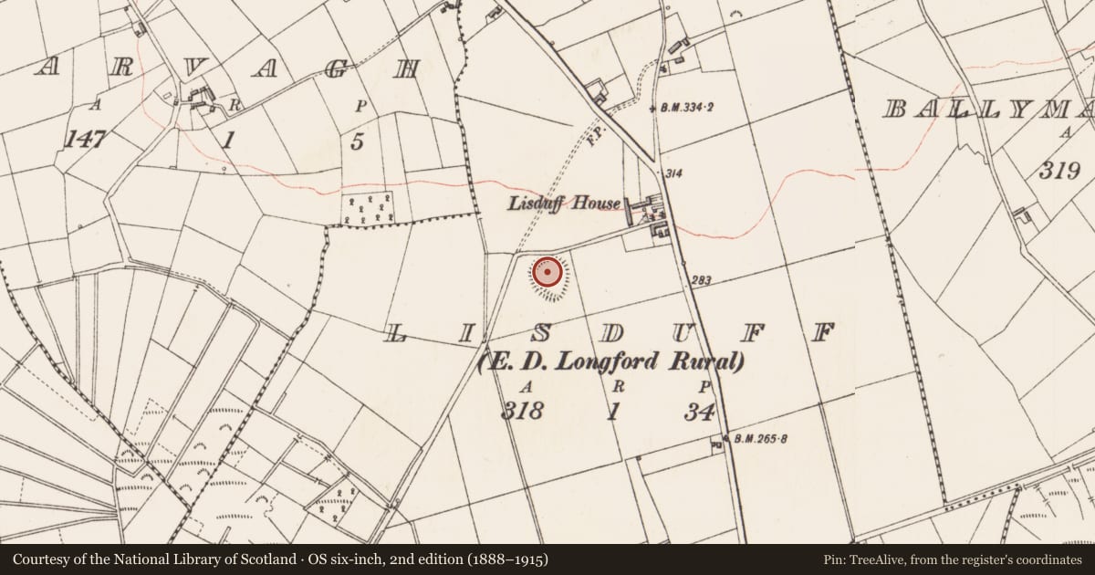 Ordnance Survey six-inch map, 2nd edition (1888–1915) covering the location of Ringfort - rath, Lisduff, County Longford, with a pin at the register's coordinates