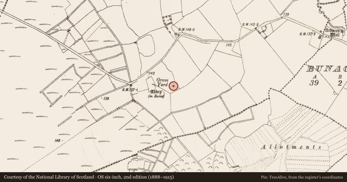 Ordnance Survey six-inch map, 2nd edition (1888–1915) covering the location of Ecclesiastical enclosure, Ballynakill, County Longford, with a pin at the register's coordinates