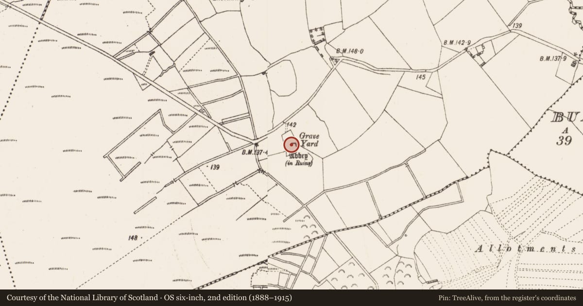 Ordnance Survey six-inch map, 2nd edition (1888–1915) covering the location of Bullaun stone, Ballynakill, County Longford, with a pin at the register's coordinates