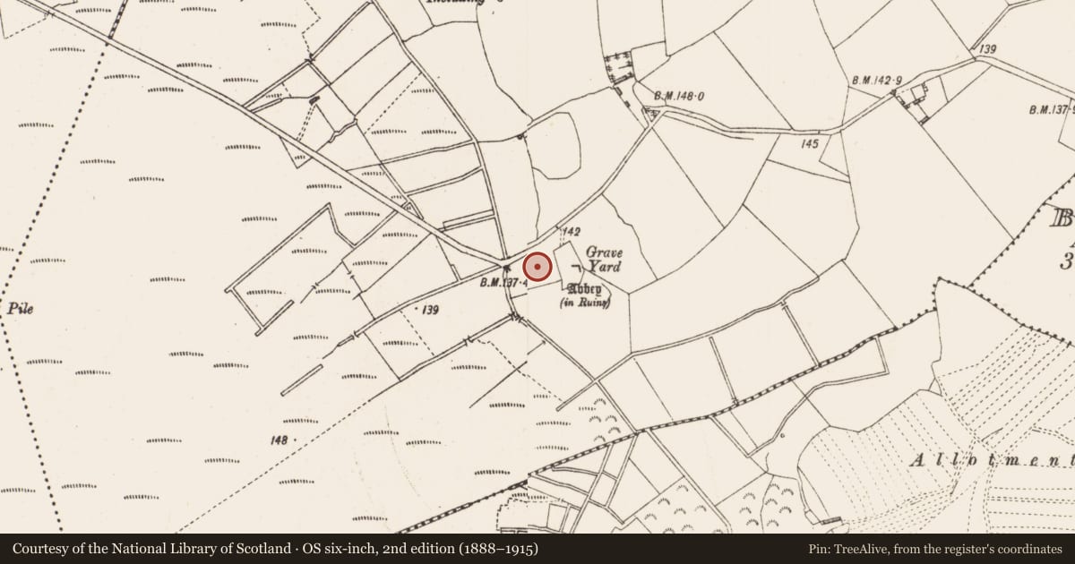 Ordnance Survey six-inch map, 2nd edition (1888–1915) covering the location of Enclosure, Ballynakill, County Longford, with a pin at the register's coordinates