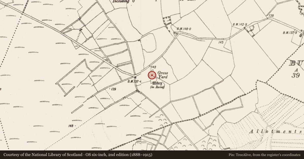 Ordnance Survey six-inch map, 2nd edition (1888–1915) covering the location of Graveyard, Ballynakill, County Longford, with a pin at the register's coordinates