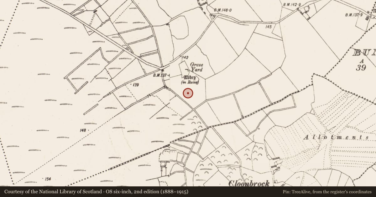 Ordnance Survey six-inch map, 2nd edition (1888–1915) covering the location of Cross-slab, Ballynakill, County Longford, with a pin at the register's coordinates