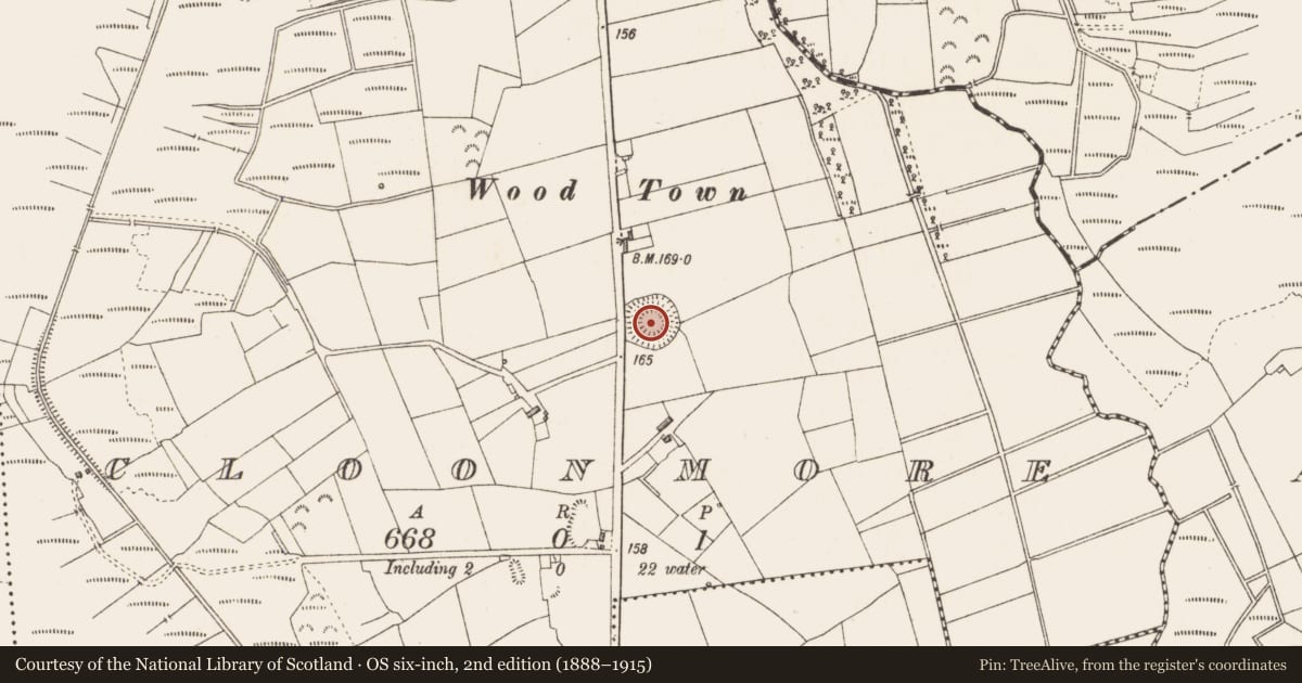 Ordnance Survey six-inch map, 2nd edition (1888–1915) covering the location of Ringfort - rath, Cloonmore, County Longford, with a pin at the register's coordinates