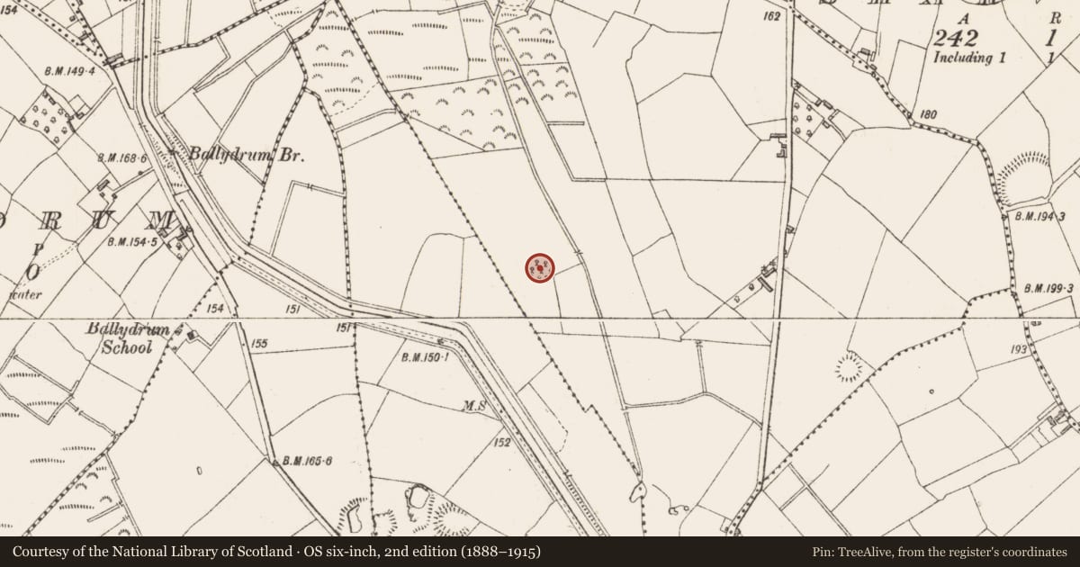 Ordnance Survey six-inch map, 2nd edition (1888–1915) covering the location of Ringfort - rath, Cloonmore, County Longford, with a pin at the register's coordinates