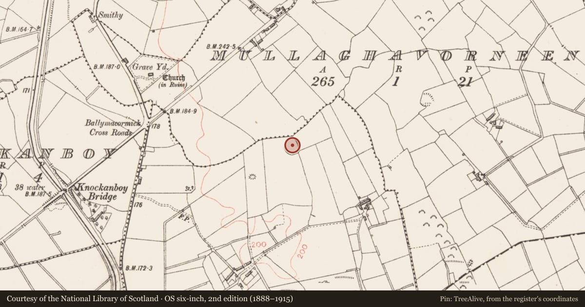 Ordnance Survey six-inch map, 2nd edition (1888–1915) covering the location of Ringfort - rath, Stonepark, County Longford, with a pin at the register's coordinates