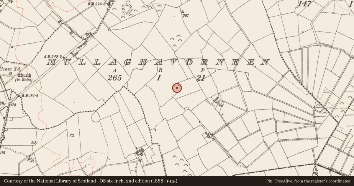 Ordnance Survey six-inch map, 2nd edition (1888–1915) covering the location of Ringfort - rath, Mullaghavorneen, County Longford, with a pin at the register's coordinates