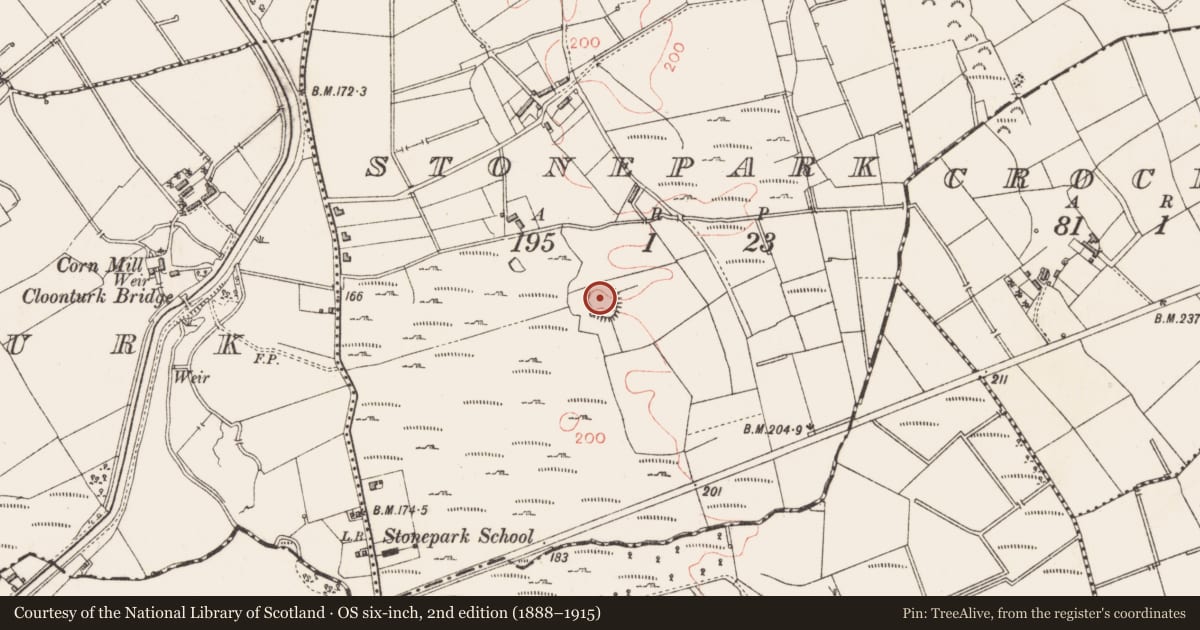 Ordnance Survey six-inch map, 2nd edition (1888–1915) covering the location of Ringfort - rath, Stonepark, County Longford, with a pin at the register's coordinates