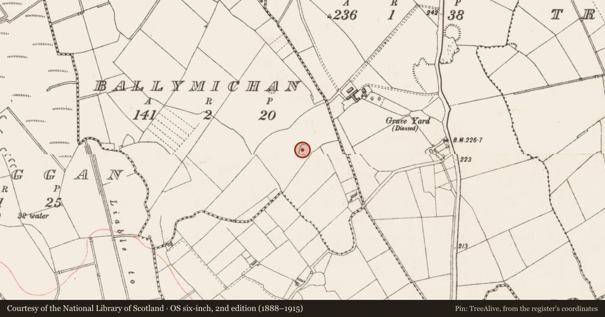 Ordnance Survey six-inch map, 2nd edition (1888–1915) covering the location of Ringfort - rath, Ballymichan, County Longford, with a pin at the register's coordinates