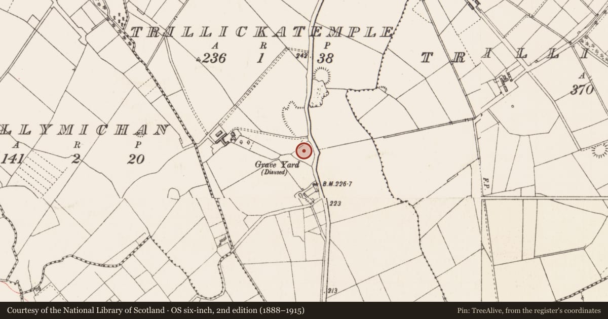Ordnance Survey six-inch map, 2nd edition (1888–1915) covering the location of Graveyard, Trillickatemple, County Longford, with a pin at the register's coordinates