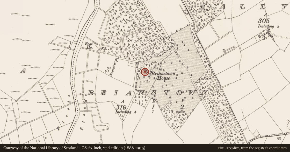 Ordnance Survey six-inch map, 2nd edition (1888–1915) covering the location of Country house, Brianstown, County Longford, with a pin at the register's coordinates