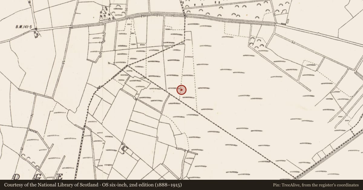 Ordnance Survey six-inch map, 2nd edition (1888–1915) covering the location of Road - class 3 togher, Cloondara, County Longford, with a pin at the register's coordinates
