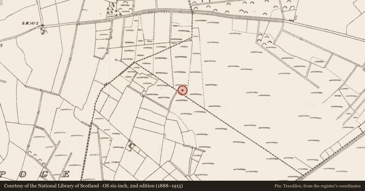 Ordnance Survey six-inch map, 2nd edition (1888–1915) covering the location of Road - class 2 togher, Cloonard, Cloondara, County Longford, with a pin at the register's coordinates