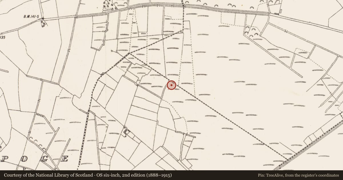 Ordnance Survey six-inch map, 2nd edition (1888–1915) covering the location of Structure - peatland, Cloonard, County Longford, with a pin at the register's coordinates