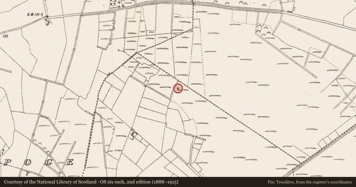 Ordnance Survey six-inch map, 2nd edition (1888–1915) covering the location of Road - class 3 togher, Cloonard, County Longford, with a pin at the register's coordinates