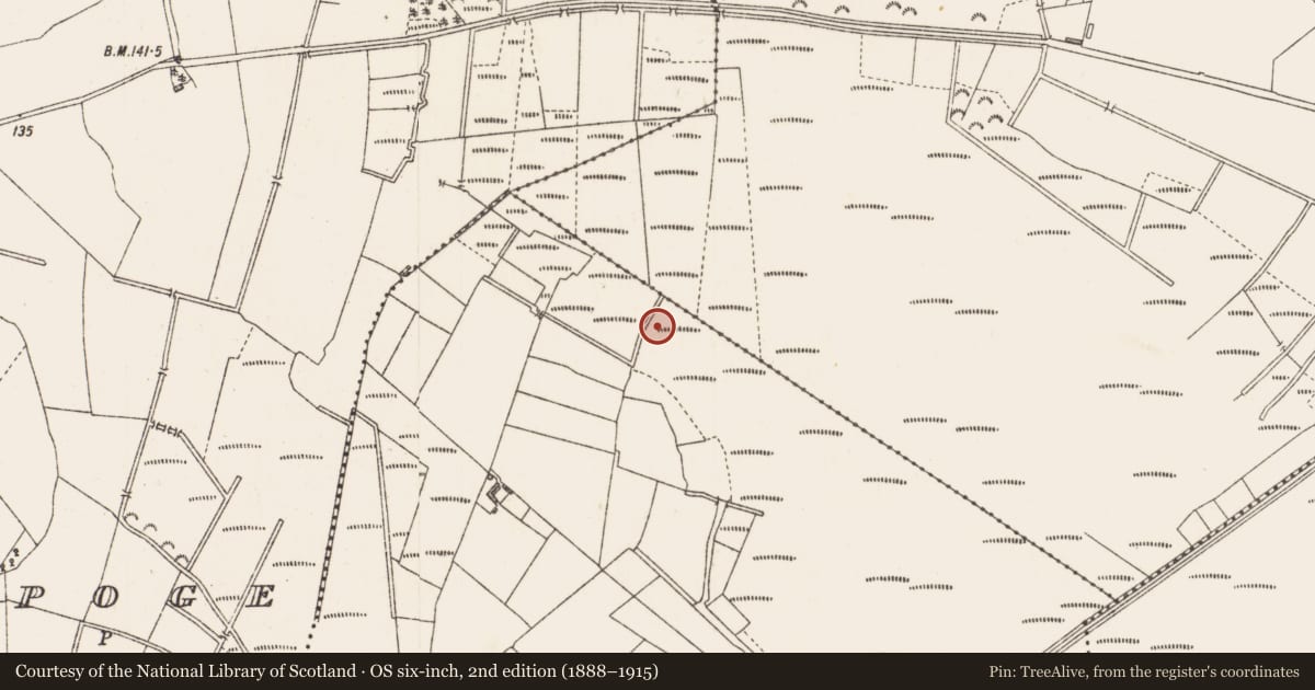 Ordnance Survey six-inch map, 2nd edition (1888–1915) covering the location of Structure - peatland, Cloonard, County Longford, with a pin at the register's coordinates