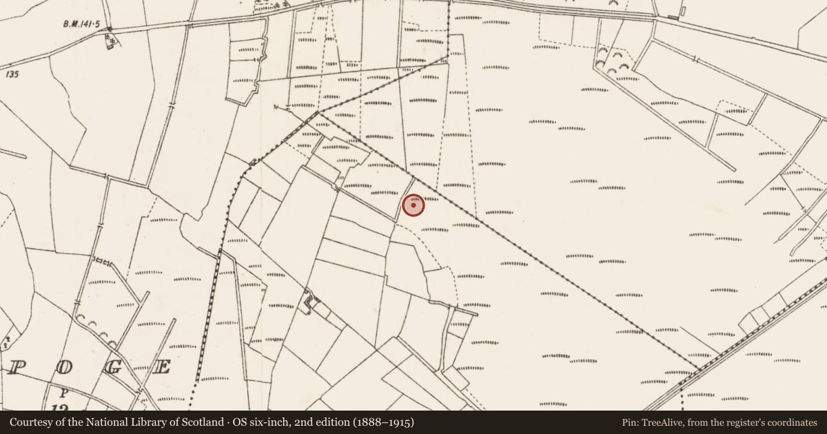 Ordnance Survey six-inch map, 2nd edition (1888–1915) covering the location of Road - class 3 togher, Cloonard, County Longford, with a pin at the register's coordinates