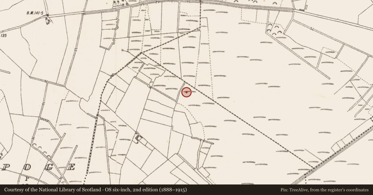 Ordnance Survey six-inch map, 2nd edition (1888–1915) covering the location of Road - class 3 togher, Cloonard, County Longford, with a pin at the register's coordinates
