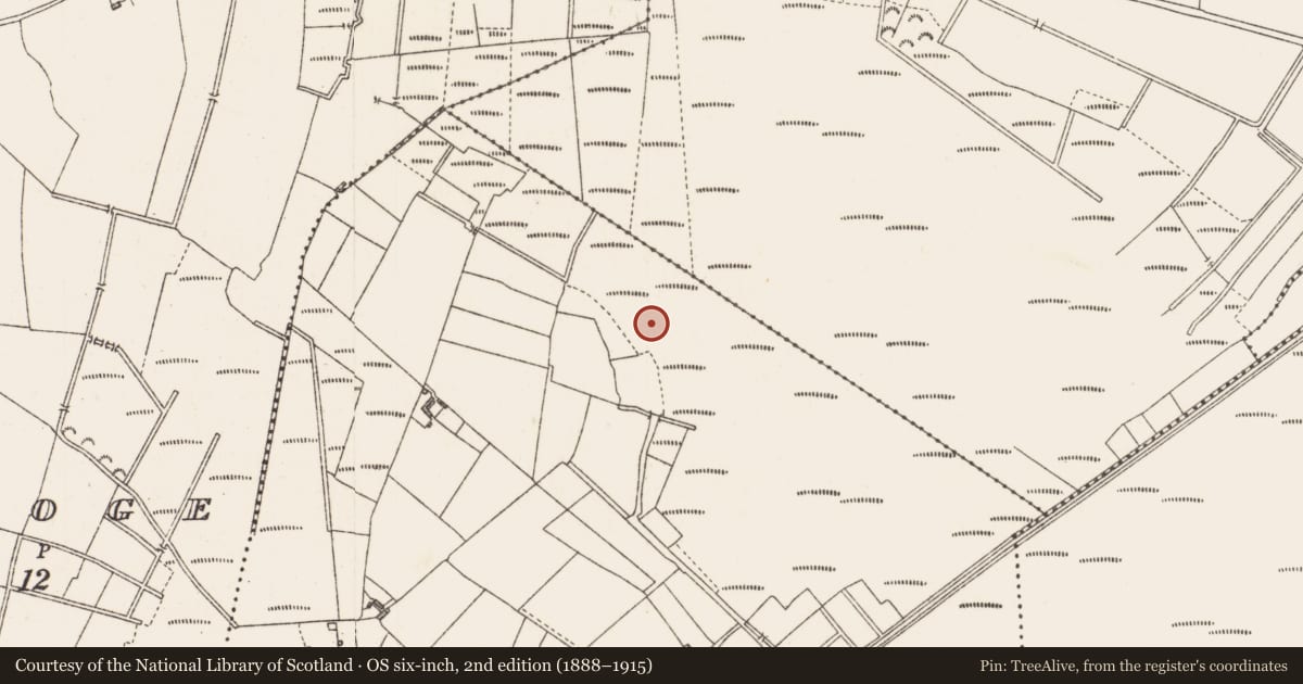 Ordnance Survey six-inch map, 2nd edition (1888–1915) covering the location of Structure - peatland, Cloonard, County Longford, with a pin at the register's coordinates