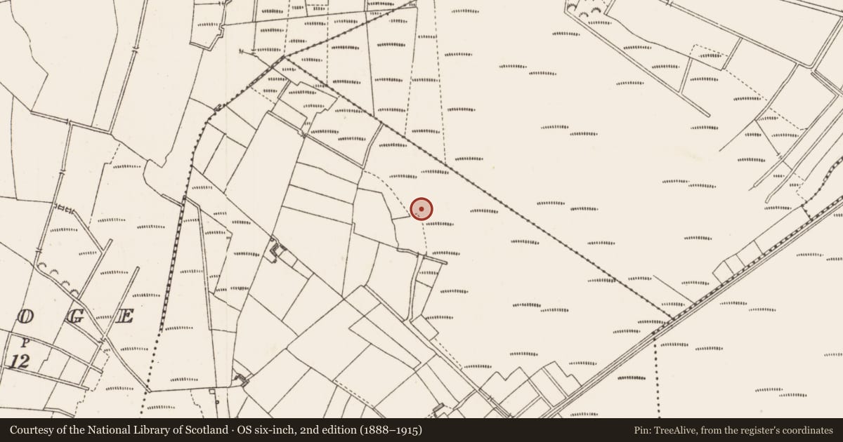 Ordnance Survey six-inch map, 2nd edition (1888–1915) covering the location of Structure - peatland, Cloonard, County Longford, with a pin at the register's coordinates