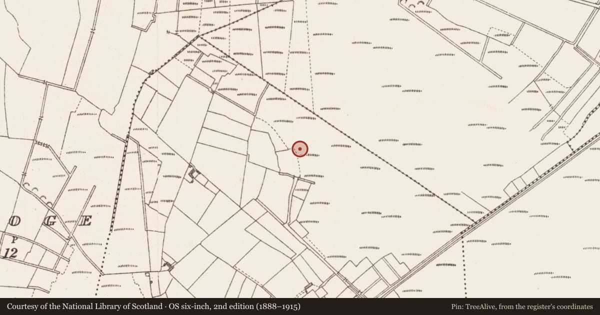 Ordnance Survey six-inch map, 2nd edition (1888–1915) covering the location of Structure - peatland, Cloonard, County Longford, with a pin at the register's coordinates