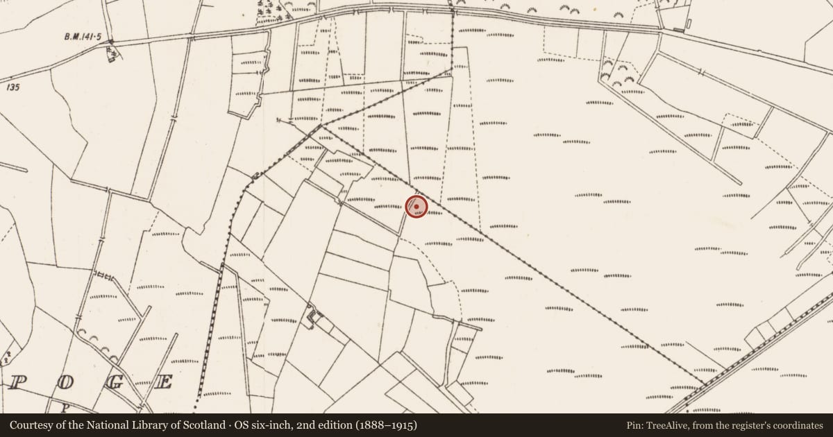 Ordnance Survey six-inch map, 2nd edition (1888–1915) covering the location of Road - class 1 togher, Cloonard, County Longford, with a pin at the register's coordinates
