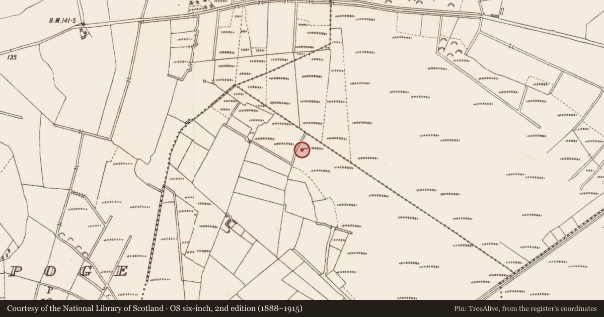 Ordnance Survey six-inch map, 2nd edition (1888–1915) covering the location of Road - class 2 togher, Cloonard, County Longford, with a pin at the register's coordinates