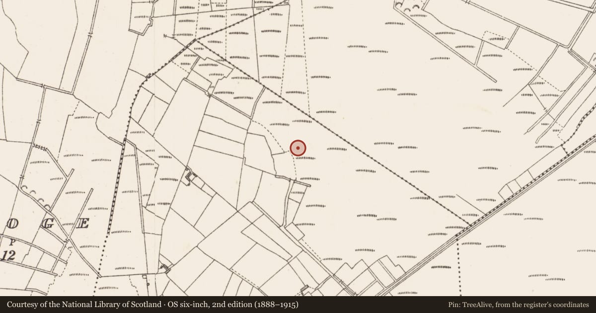 Ordnance Survey six-inch map, 2nd edition (1888–1915) covering the location of Structure - peatland, Cloonard, County Longford, with a pin at the register's coordinates