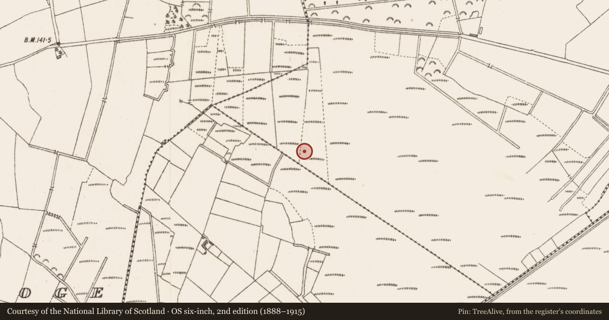 Ordnance Survey six-inch map, 2nd edition (1888–1915) covering the location of Structure - peatland, Cloondara, County Longford, with a pin at the register's coordinates