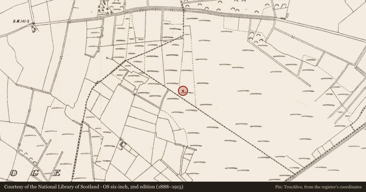Ordnance Survey six-inch map, 2nd edition (1888–1915) covering the location of Structure - peatland, Cloondara, County Longford, with a pin at the register's coordinates