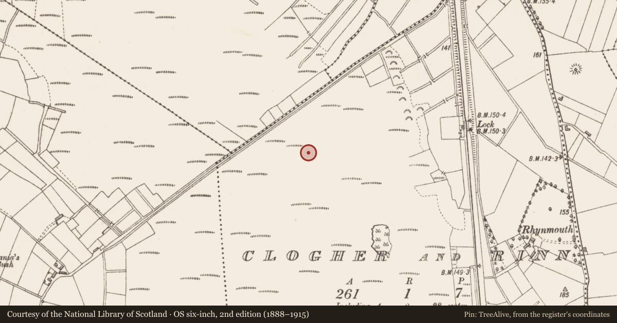 Ordnance Survey six-inch map, 2nd edition (1888–1915) covering the location of Road - class 3 togher, Clogher And Rinn, County Longford, with a pin at the register's coordinates
