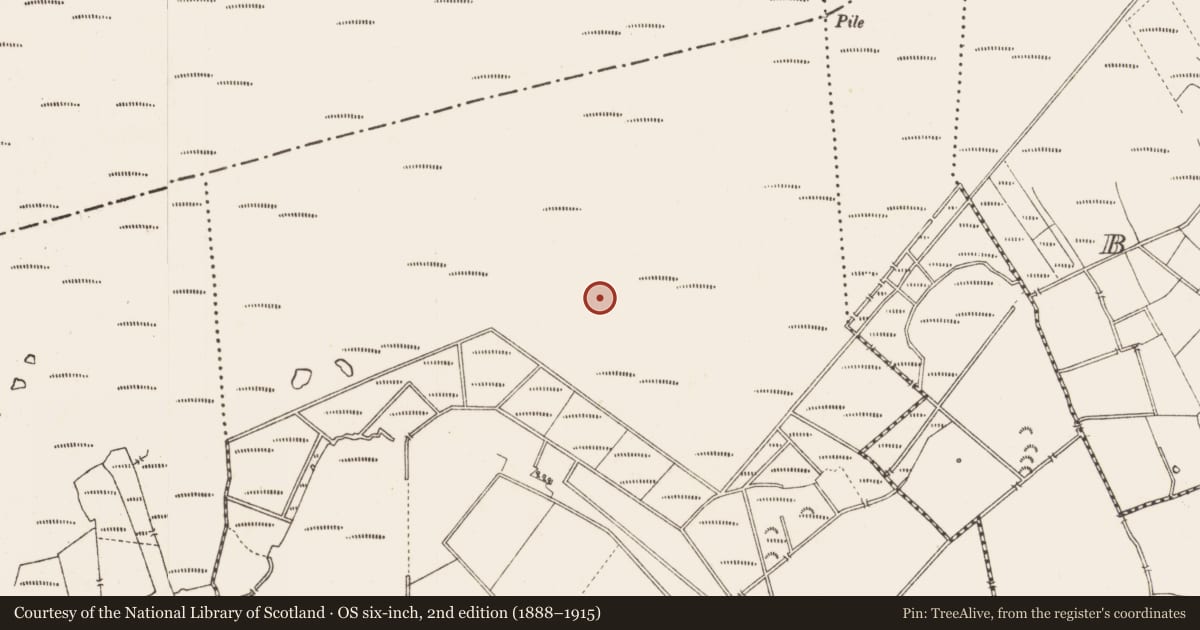 Ordnance Survey six-inch map, 2nd edition (1888–1915) covering the location of Road - class 3 togher, Middleton, County Longford, with a pin at the register's coordinates