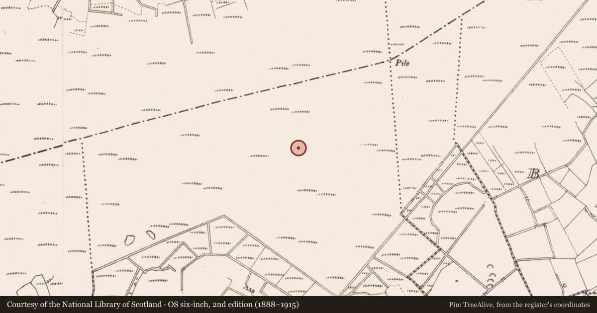 Ordnance Survey six-inch map, 2nd edition (1888–1915) covering the location of Structure - peatland, Middleton, County Longford, with a pin at the register's coordinates