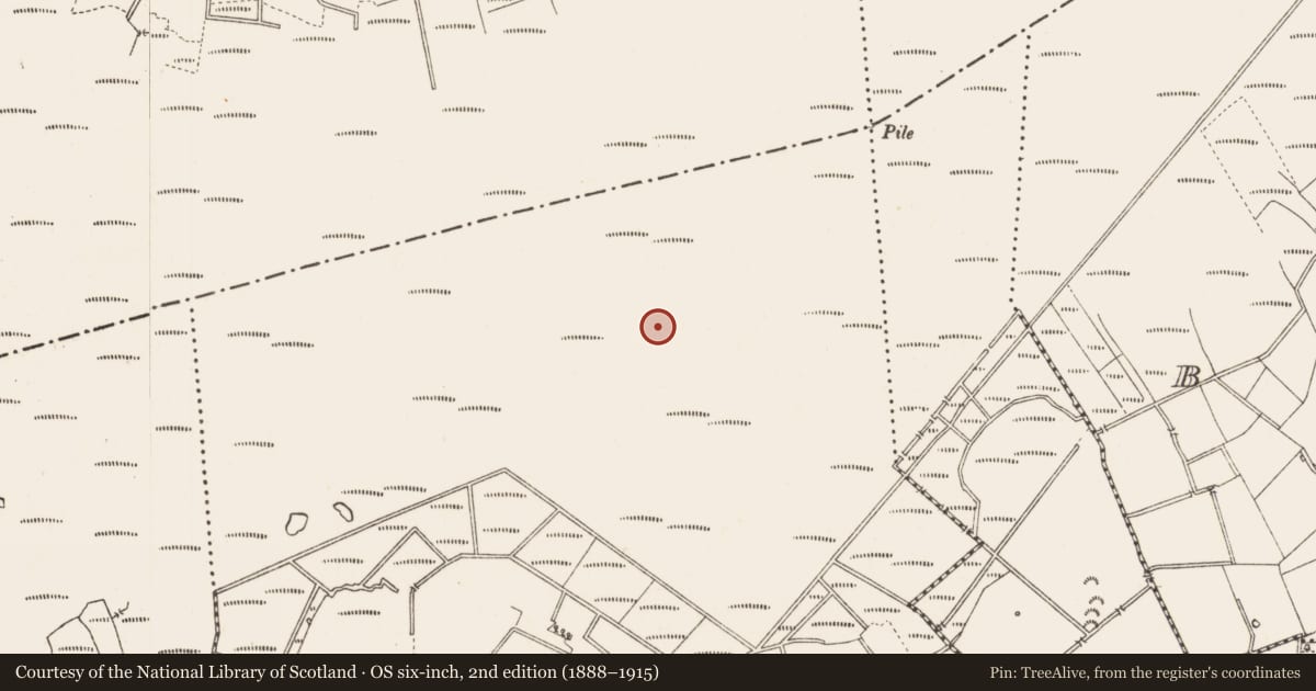 Ordnance Survey six-inch map, 2nd edition (1888–1915) covering the location of Road - class 3 togher, Middleton, County Longford, with a pin at the register's coordinates
