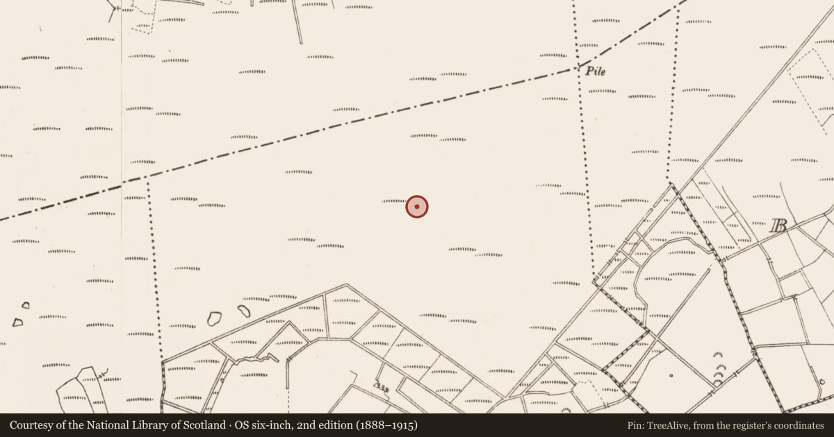 Ordnance Survey six-inch map, 2nd edition (1888–1915) covering the location of Road - class 3 togher, Middleton, County Longford, with a pin at the register's coordinates