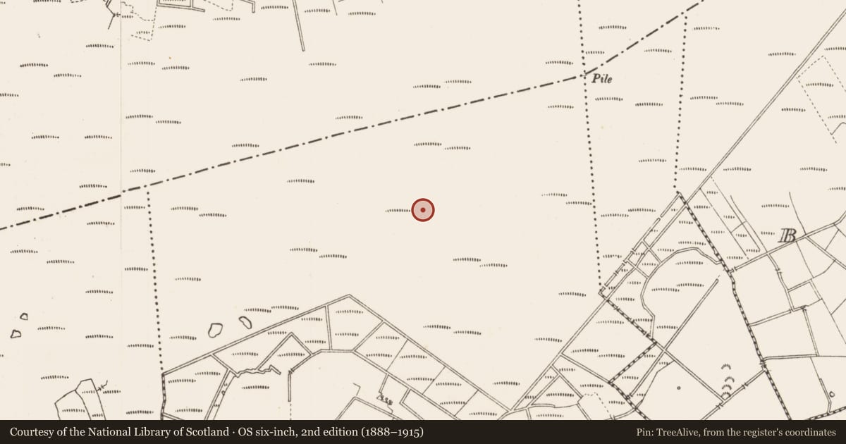 Ordnance Survey six-inch map, 2nd edition (1888–1915) covering the location of Road - class 3 togher, Middleton, County Longford, with a pin at the register's coordinates