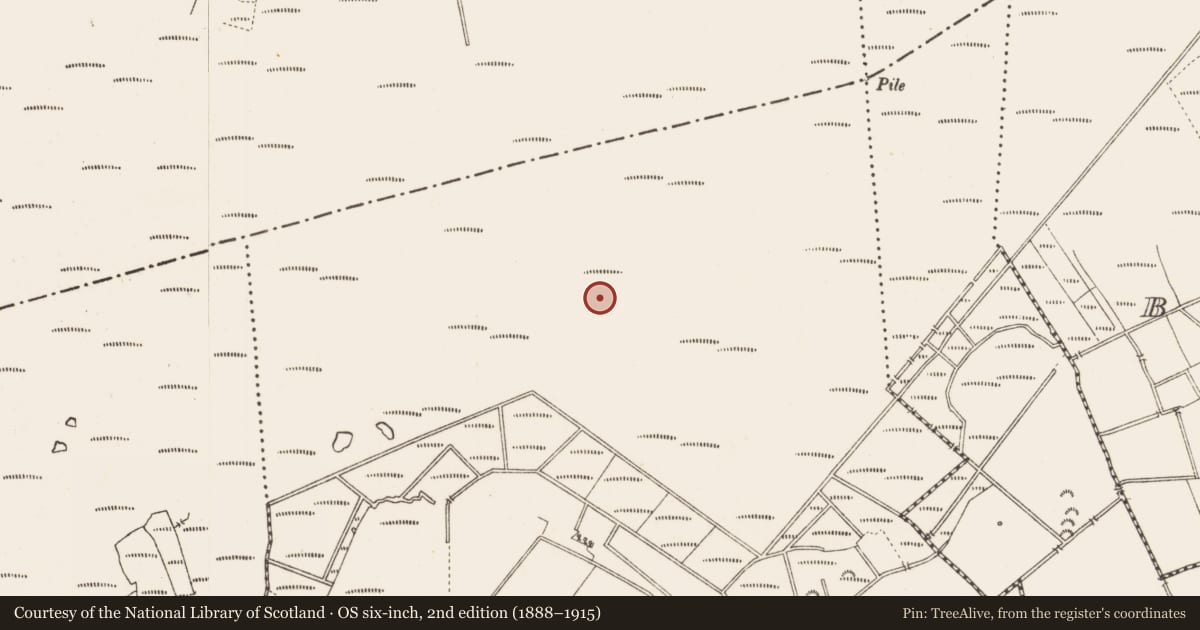 Ordnance Survey six-inch map, 2nd edition (1888–1915) covering the location of Structure - peatland, Middleton, County Longford, with a pin at the register's coordinates