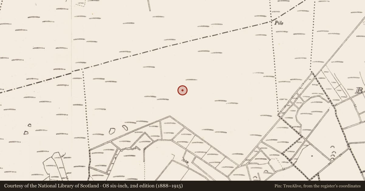 Ordnance Survey six-inch map, 2nd edition (1888–1915) covering the location of Road - class 3 togher, Middleton, County Longford, with a pin at the register's coordinates