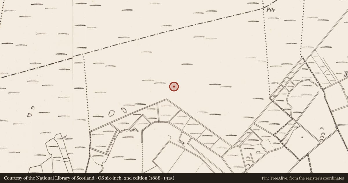 Ordnance Survey six-inch map, 2nd edition (1888–1915) covering the location of Road - class 3 togher, Middleton, County Longford, with a pin at the register's coordinates
