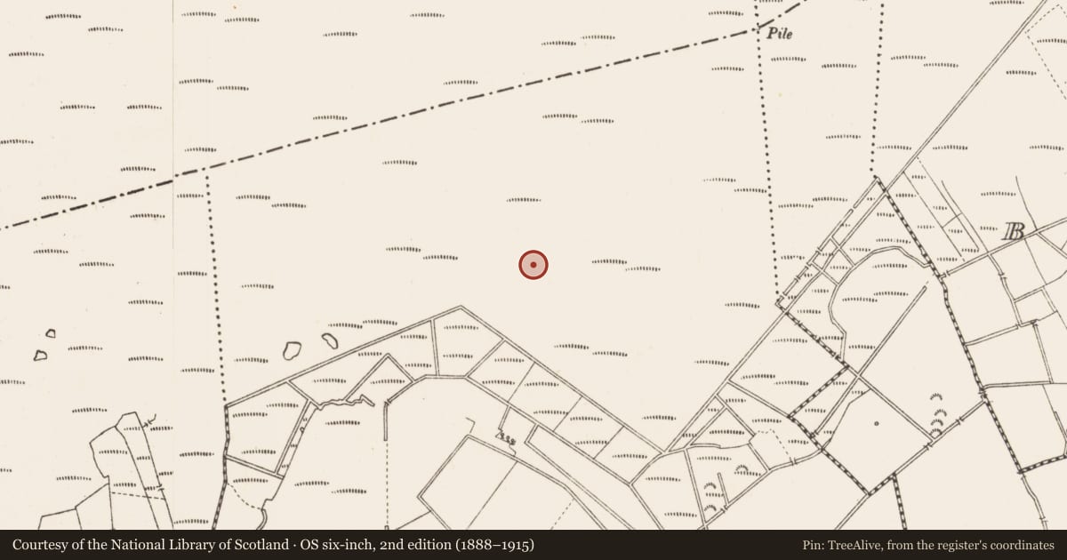 Ordnance Survey six-inch map, 2nd edition (1888–1915) covering the location of Road - class 3 togher, Middleton, County Longford, with a pin at the register's coordinates