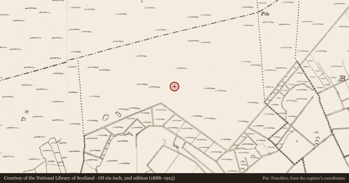 Ordnance Survey six-inch map, 2nd edition (1888–1915) covering the location of Road - class 3 togher, Middleton, County Longford, with a pin at the register's coordinates