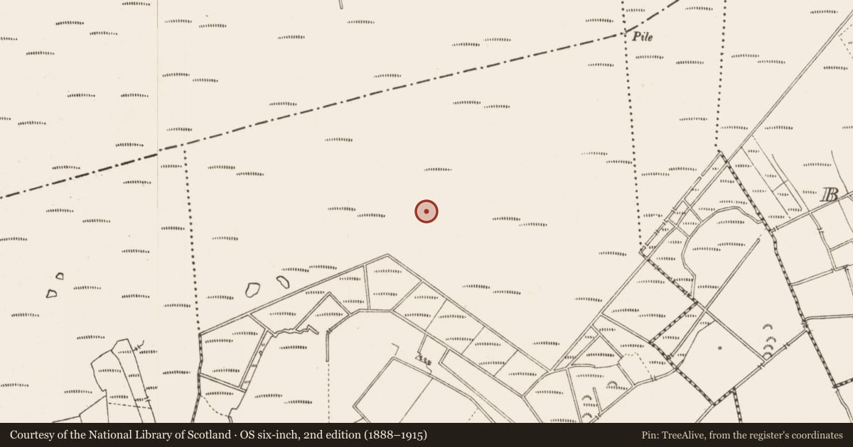 Ordnance Survey six-inch map, 2nd edition (1888–1915) covering the location of Road - class 3 togher, Middleton, County Longford, with a pin at the register's coordinates