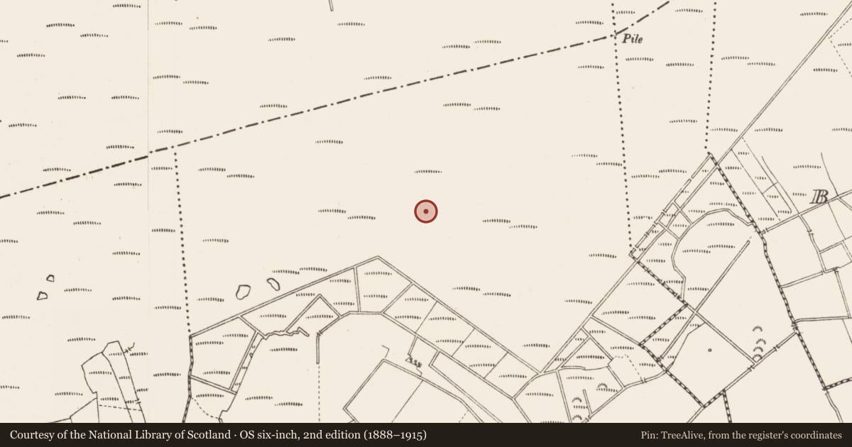Ordnance Survey six-inch map, 2nd edition (1888–1915) covering the location of Structure - peatland, Middleton, County Longford, with a pin at the register's coordinates