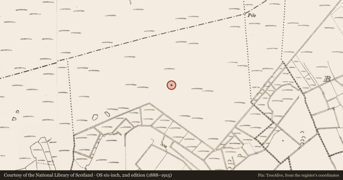 Ordnance Survey six-inch map, 2nd edition (1888–1915) covering the location of Road - class 3 togher, Middleton, County Longford, with a pin at the register's coordinates