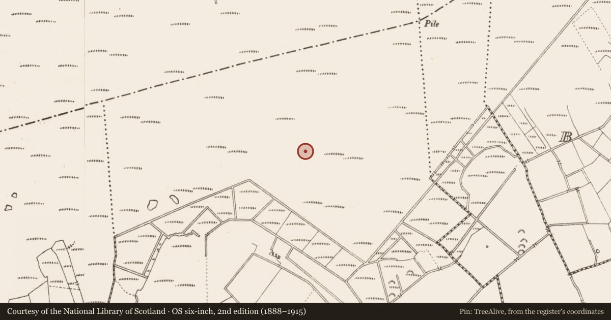 Ordnance Survey six-inch map, 2nd edition (1888–1915) covering the location of Structure - peatland, Middleton, County Longford, with a pin at the register's coordinates
