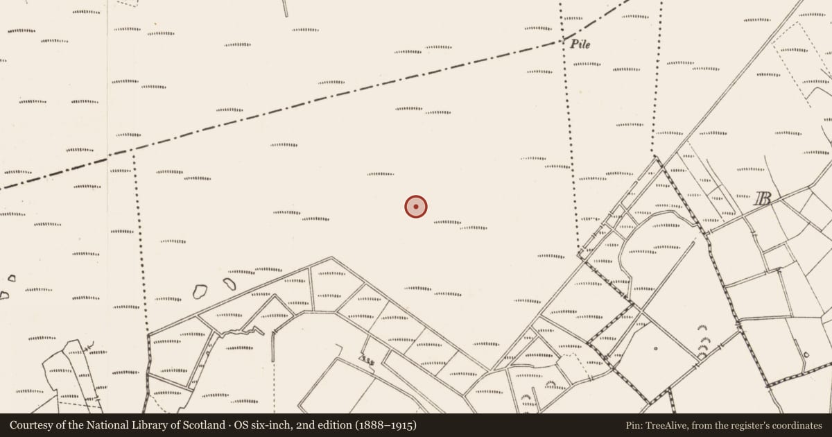 Ordnance Survey six-inch map, 2nd edition (1888–1915) covering the location of Structure - peatland, Middleton, County Longford, with a pin at the register's coordinates