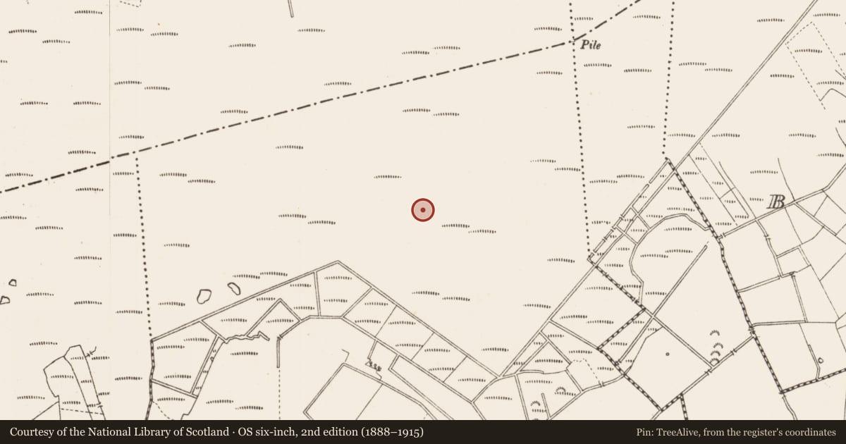 Ordnance Survey six-inch map, 2nd edition (1888–1915) covering the location of Structure - peatland, Middleton, County Longford, with a pin at the register's coordinates