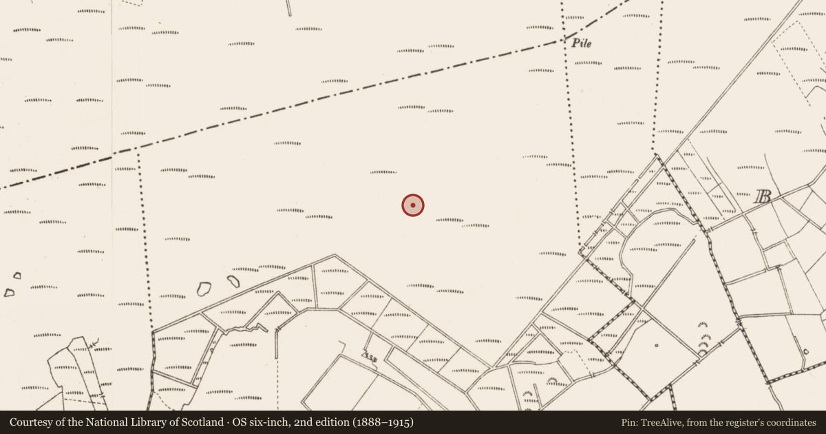 Ordnance Survey six-inch map, 2nd edition (1888–1915) covering the location of Structure - peatland, Middleton, County Longford, with a pin at the register's coordinates
