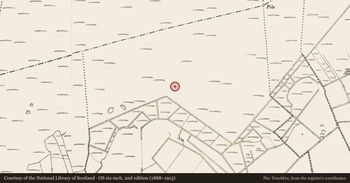 Ordnance Survey six-inch map, 2nd edition (1888–1915) covering the location of Structure - peatland, Middleton, County Longford, with a pin at the register's coordinates