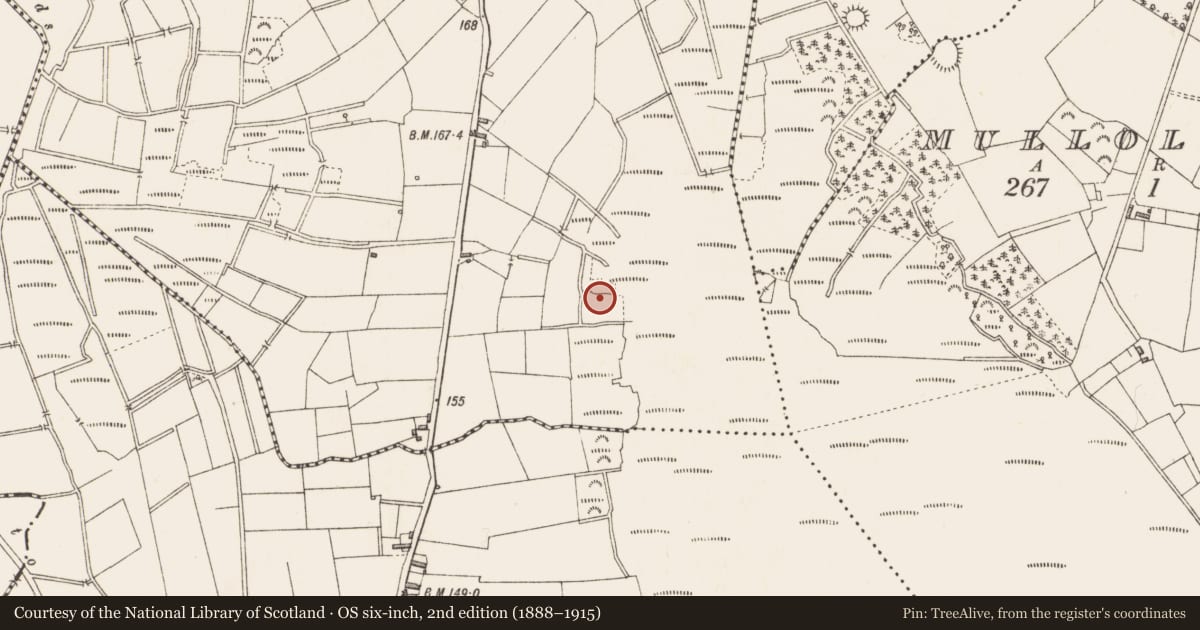 Ordnance Survey six-inch map, 2nd edition (1888–1915) covering the location of Road - class 3 togher, Kilmore Lower, County Longford, with a pin at the register's coordinates