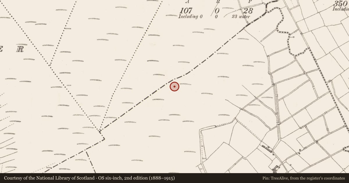 Ordnance Survey six-inch map, 2nd edition (1888–1915) covering the location of Structure - peatland, Clooneeny, County Longford, with a pin at the register's coordinates
